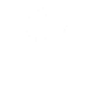 Cardiology