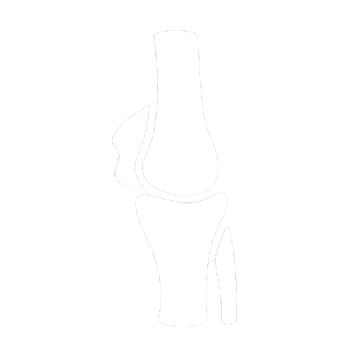 Orthopaedics